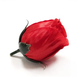 Голова закрытый бутон розы