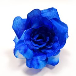 Роза чайная