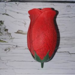 Роза бутылочная