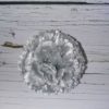 Гвоздика - Thumbnail Image 2