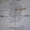 Ветки кораллов - Thumbnail Image 2