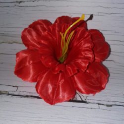 Нарцисс, диаметр 14 см