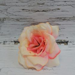 Роза чайная