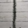 Ёлка однослойная - Thumbnail Image 2