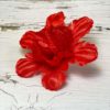 Голова Георгина. D=15см. - Thumbnail Image 4