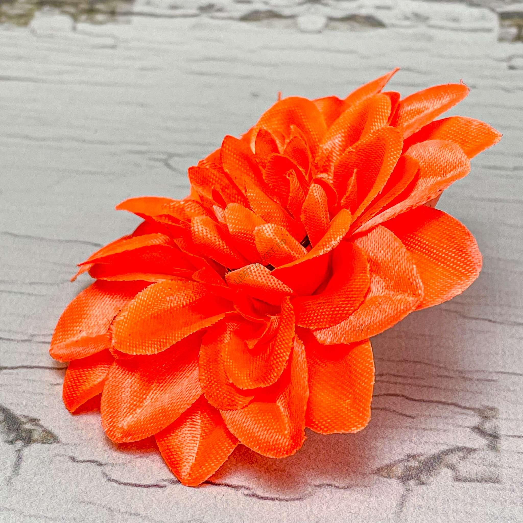 Голова Георгина. D=8см. — изображение 6