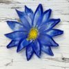 Голова Георгина. D=16,5см. - Thumbnail Image 2