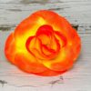 Голова розы раскрытой. D=10см. - Thumbnail Image 1