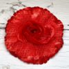 Голова розы раскрытой с сеткой. D=11см. - Thumbnail Image 1