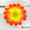Голова Георгина. D=12см - Thumbnail Image 1