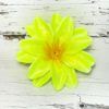 Голова Георгина. D=12см - Thumbnail Image 2