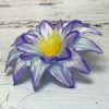 Голова Георгина. Красный D=13см. - Thumbnail Image 2