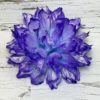 Голова хризантемы. D=16см. - Thumbnail Image 2