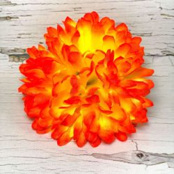 Голова хризантемы. D=15см.