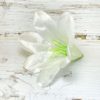 Голова Лилии бутылочной. Красный D=16,5см - Thumbnail Image 2