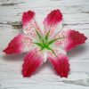 Голова Ириса. Красный D=12,5 см. - Thumbnail Image 1