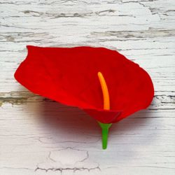 Голова Каллы. D=13 см. H=14 см