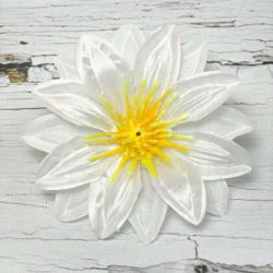 Голова Георгина. D=11 см.