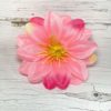 Голова Георгина. D=11 см. - Thumbnail Image 5