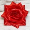 Голова розы раскрытой. D=15см. - Thumbnail Image 1