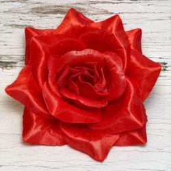 Голова розы раскрытой. D=15см.