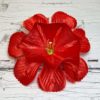 Голова Нарцисса. D=11,5см. (без сборки) - Thumbnail Image 1