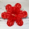Голова георгина. D=15см - Thumbnail Image 1